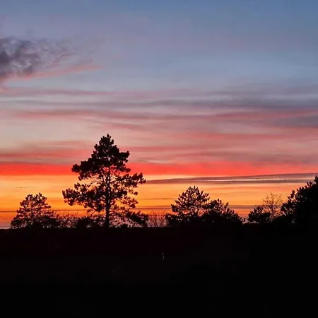 Deichtraum Comfortable *